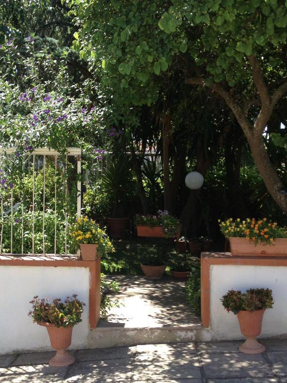 B&B Solacium Matera Exterior foto